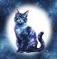 Preview: VORBESTELLUNG Cosmic - Katze 70cm - BIO French Terry