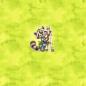 Preview: Working Animals - Panelbild Waschbär - BIO Jersey