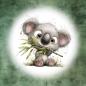 Preview: Explorer - Panelbild Koala 70cm - BIO Jersey