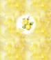 Preview: Fruits - Panelbild Zitronen 70cm - BIO Jersey