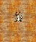 Preview: HalloAutumn Panel Herbstwaschbär orange – BIO French Terry