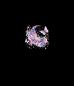 Preview: Print - Panelbild Mond 70cm - BIO French Terry