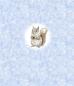 Preview: Winter Panel Eichhörnchen - BIO French Terry