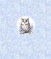 Preview: Winter Panel Eule - BIO French Terry