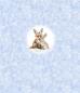 Preview: Winter Panel Fuchs und Hase - BIO French Terry