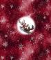 Preview: Winter Panel Schlittenrentier - BIO French Terry