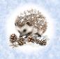 Preview: Winter Panel Igel - BIO French Terry