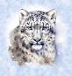 Preview: Winter Panel Leopard - BIO French Terry