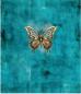 Preview: Steampunk Schmetterling Panel – BIO French Terry