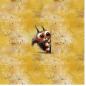 Preview: Guck Guck Eichhörnchen Panel – BIO French Terry