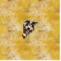 Preview: Guck Guck Hund Panel – BIO French Terry