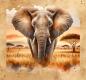 Preview: Savanne - Elefant 70cm - BIO Jersey