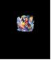 Preview: Neon - Panelbild Papagei 70cm - BIO French Terry