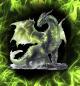 Preview: On Fire - Panelbild Drache grün 70cm - BIO French Terry