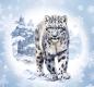 Preview: Hello Winter - Schneeleopard 70cm - BIO French Terry