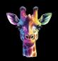 Preview: Rainbow & Denim - Giraffe 70cm - BIO French Terry