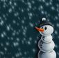 Preview: Panel Schneemann petrol - Winter Moods by Thorsten Berger - Sweat angeraut, Swafing