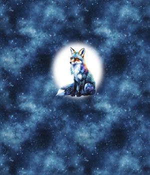 Preview: Cosmic - Fuchs 70cm - BIO French Terry