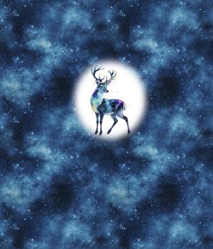 Preview: VORBESTELLUNG - Cosmic - Hirsch 70cm - BIO French Terry