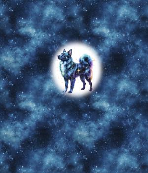 Preview: Cosmic - Hund 70cm - BIO French Terry