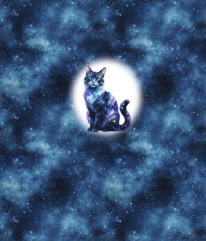 Preview: VORBESTELLUNG Cosmic - Katze 70cm - BIO French Terry