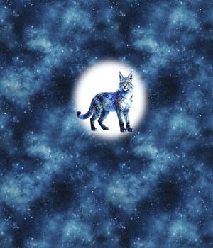 Preview: VORBESTELLUNG - Cosmic - Luchs 70cm - BIO French Terry