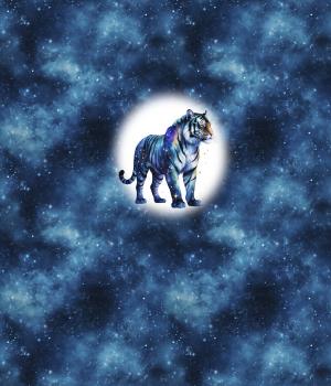 Preview: VORBESTELLUNG - Cosmic - Tiger 70cm - BIO French Terry