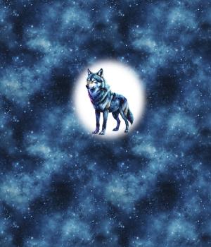 Preview: VORBESTELLUNG - Cosmic - Wolf 70cm - BIO French Terry