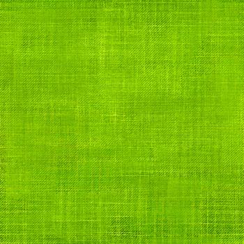 Crossline Denim - #39 hellgrün - Überbreite BIO French Terry