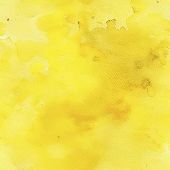 Frühlingserwachen - Kombi gelb - Überbreite BIO Jersey - Kopie