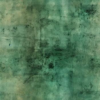 Explorer - Grunge grün - Überbreite BIO Jersey
