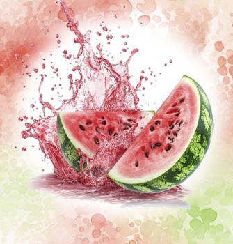 Fruits - Panelbild Melone 70cm - BIO Jersey