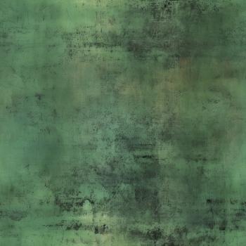 Wildfang - Grunge grün - Überbreite BIO Jersey
