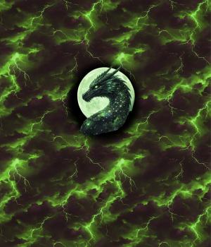 Preview: Drachen - Panelbild Drache grün 70cm - BIO French Terry
