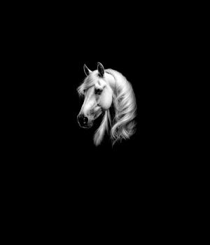 Preview: Wild - Panelbild Pferd 70cm - BIO French Terry