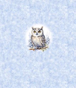 Preview: Winter Panel Eule - BIO French Terry