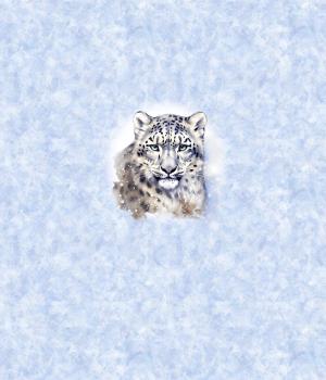 Preview: Winter Panel Leopard - BIO French Terry