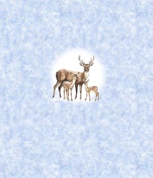 Preview: Winter Panel Rehe - BIO French Terry