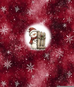 Preview: Winter Panel Schneemann - BIO French Terry