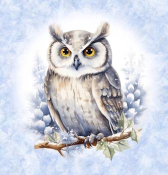 Winter Panel Eule - BIO French Terry