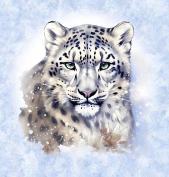 Winter Panel Leopard - BIO French Terry