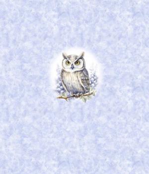 Preview: Winter Panel Eule - BIO French Terry