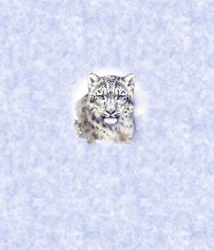 Preview: Winter Panel Leopard - BIO French Terry