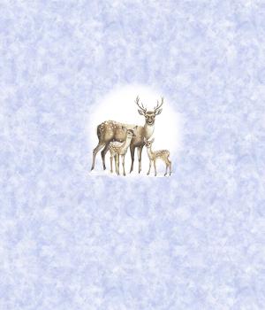 Preview: Winter Panel Rehe - BIO French Terry