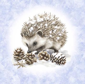 Winter Panel Igel - BIO French Terry