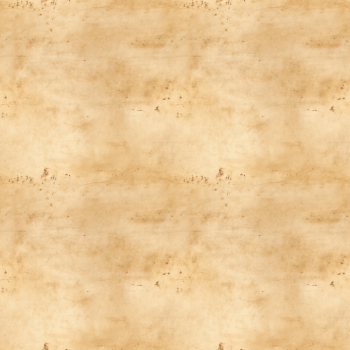 Schrullige Safari - Grunge - Überbreite BIO French Terry