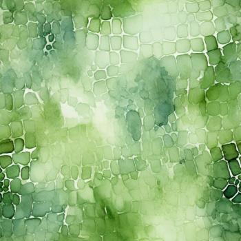 Schrullige Safari - Kombi grün - Überbreite BIO French Terry