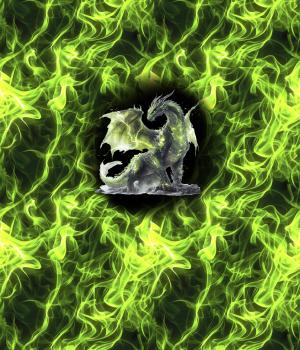 On Fire - Panelbild Drache grün 70cm - BIO French Terry