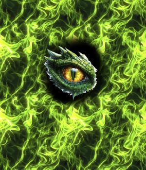 On Fire - Panelbild Drachenauge grün 70cm - BIO French Terry