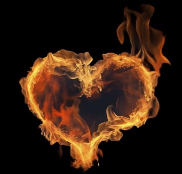 On Fire - Panelbild Herz 70cm - BIO French Terry